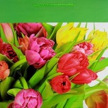 `����� ���./�������.26*32��.���.381BL-f-LV`