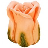 `����� ������ "����" 8�� 10��  (�.�����) (6) 316111`